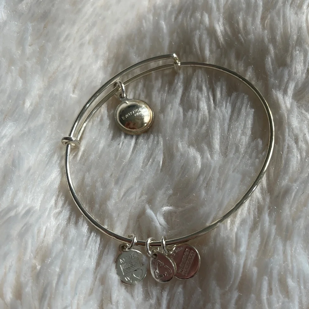 ALEX & ANI BIRTHSTONE CHARM BANGLE - Picture 3 of 6
